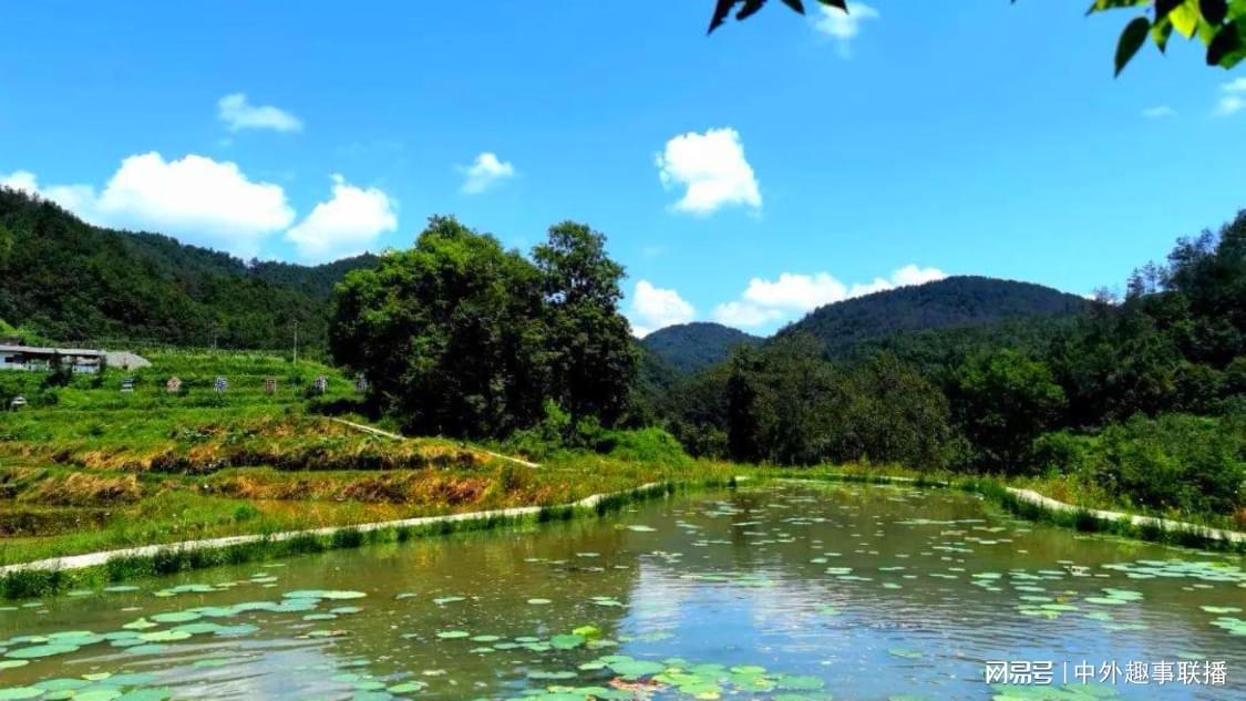 ks涨赞在线秒涨